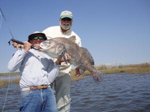 Black Drum Taken by Scud on Fly